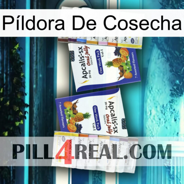 Píldora De Cosecha 12.jpg